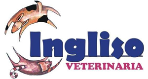 Veterinaria Ingliso